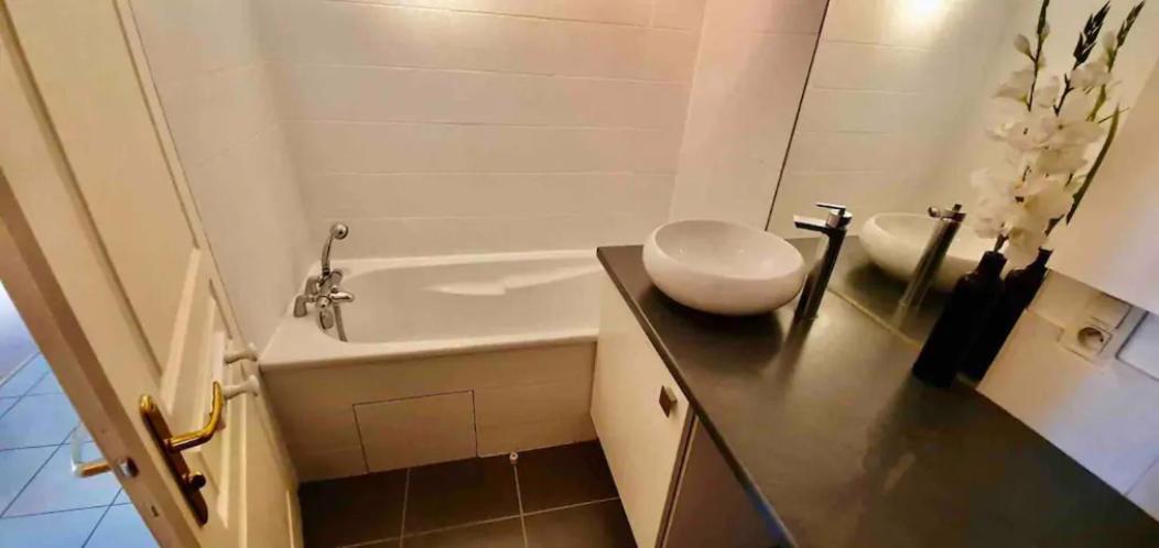 Tichnich Appartement - 2 Bedrooms - 1 Min Away From Train Station Annemasse Exterior foto